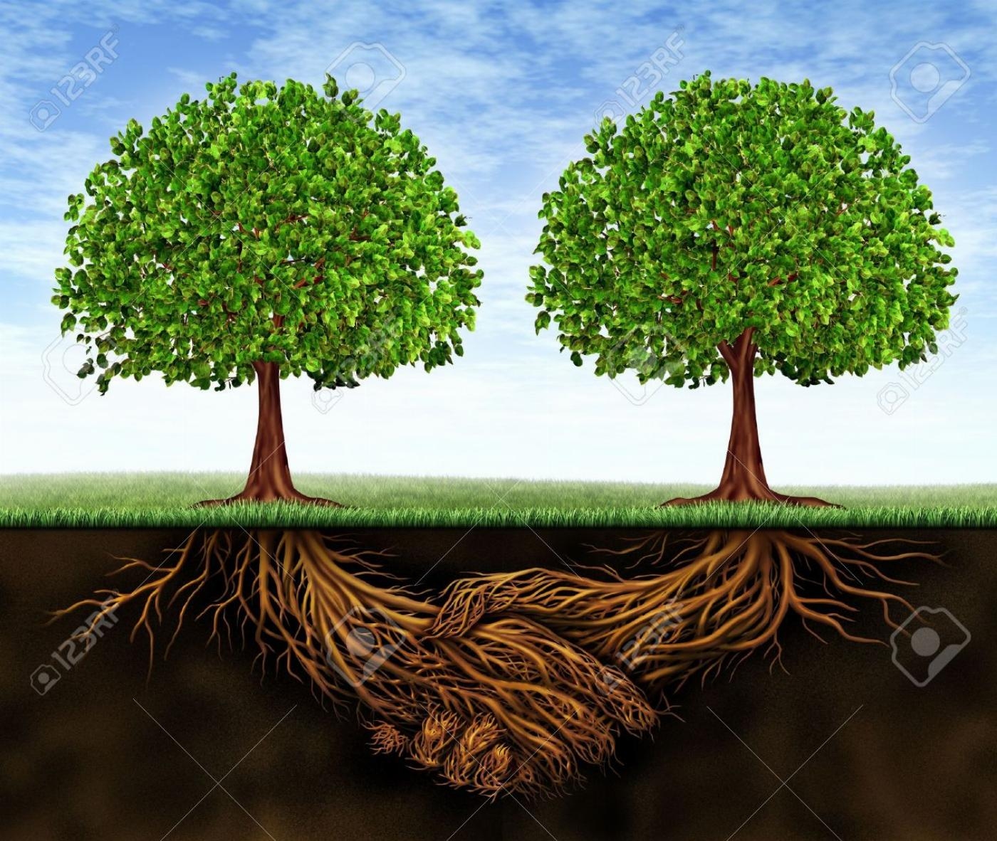 Samenwerking bomen Samenwerking bomen