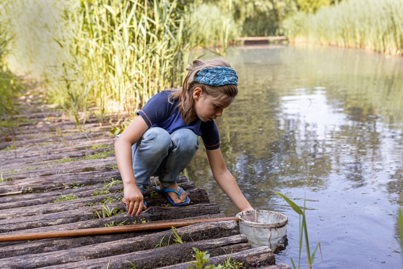 Ontdek
de wereld
van bomen
en struiken